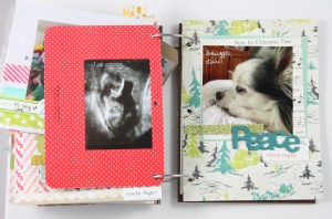 december daily 2012 024